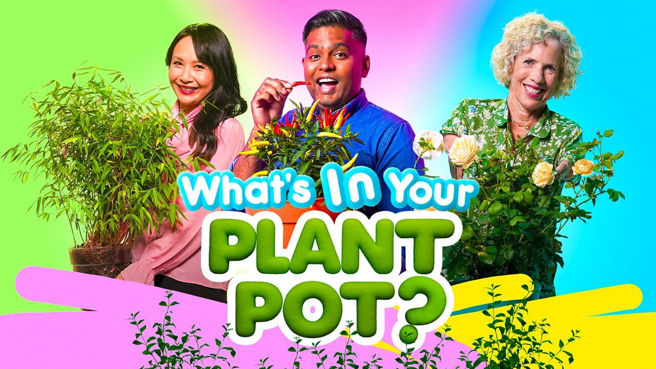 你的花盆里有什么? What's in Your Plant Pot?