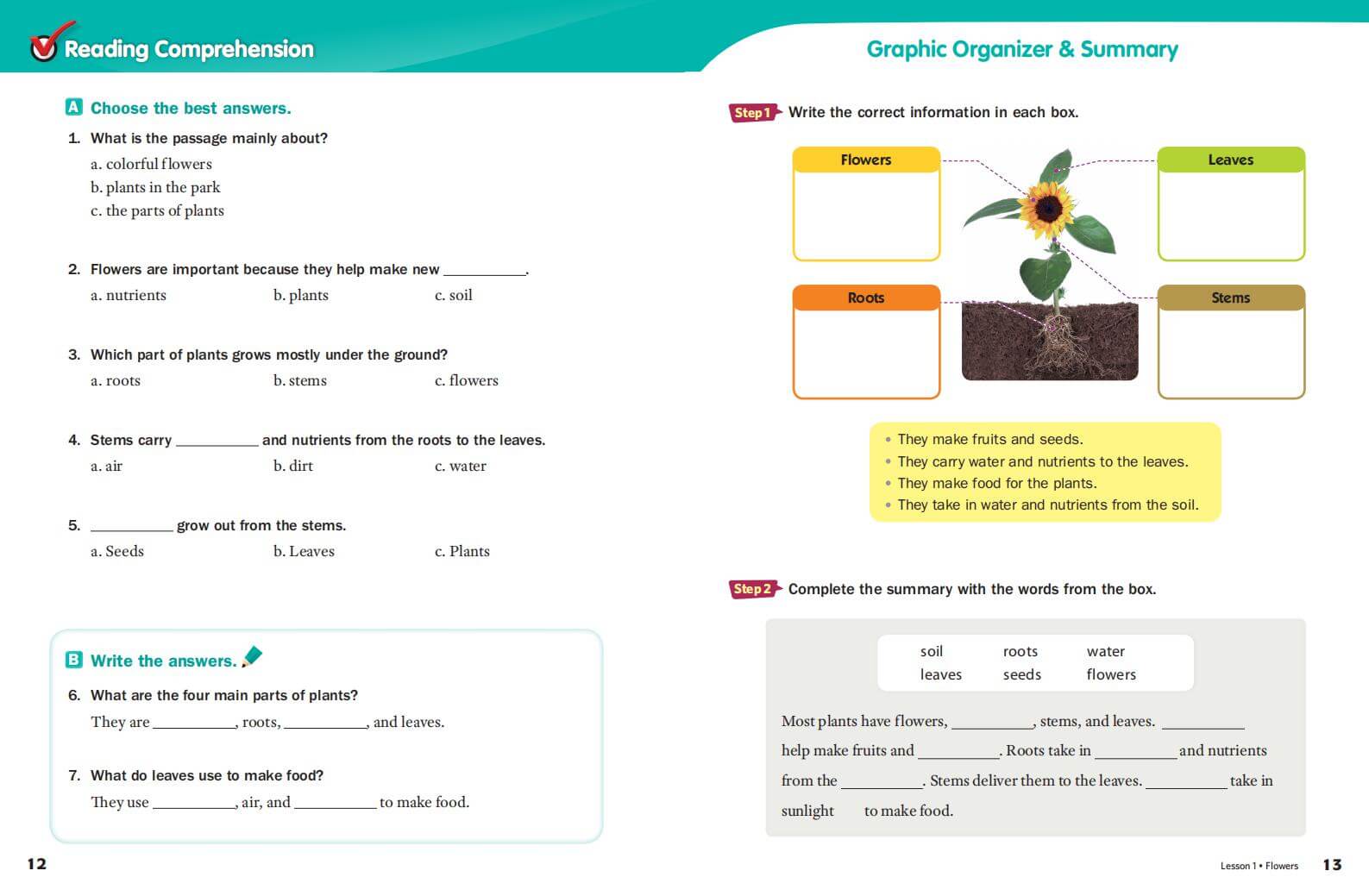 《Subject Link Level 1》NE Build & Grow Subject Link 第1级别插图4 《Subject Link Level 1》NE Build & Grow Subject Link 第1级别 - Bukids