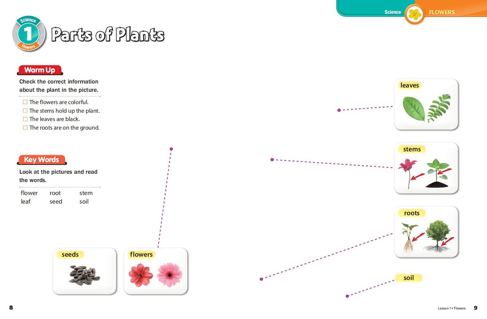 《Subject Link Level 1》NE Build & Grow Subject Link 第1级别插图2 《Subject Link Level 1》NE Build & Grow Subject Link 第1级别 - Bukids