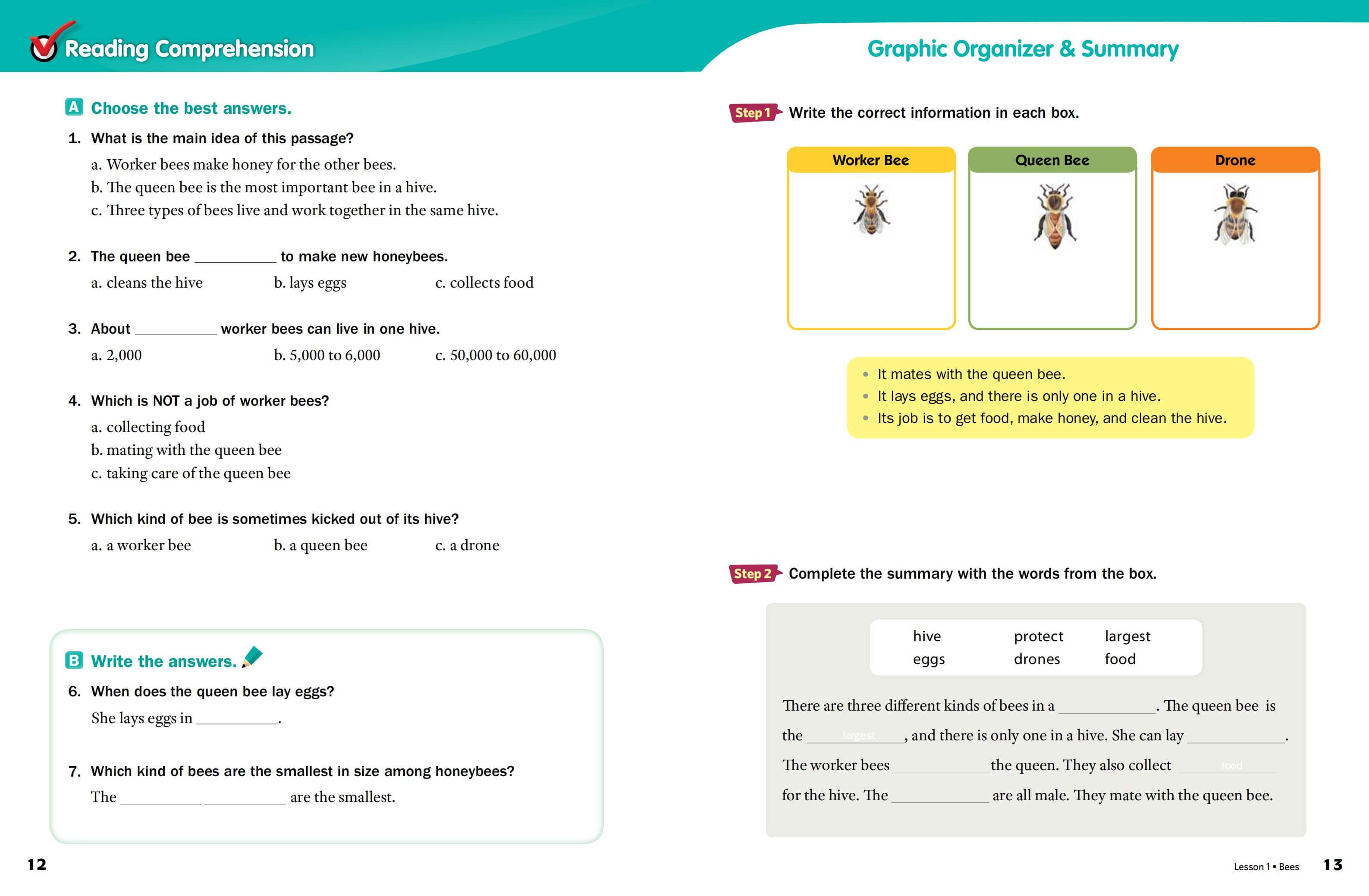 《Subject Link Level 2》NE Build & Grow Subject Link 第2级别插图4 《Subject Link Level 2》NE Build & Grow Subject Link 第2级别 - Bukids