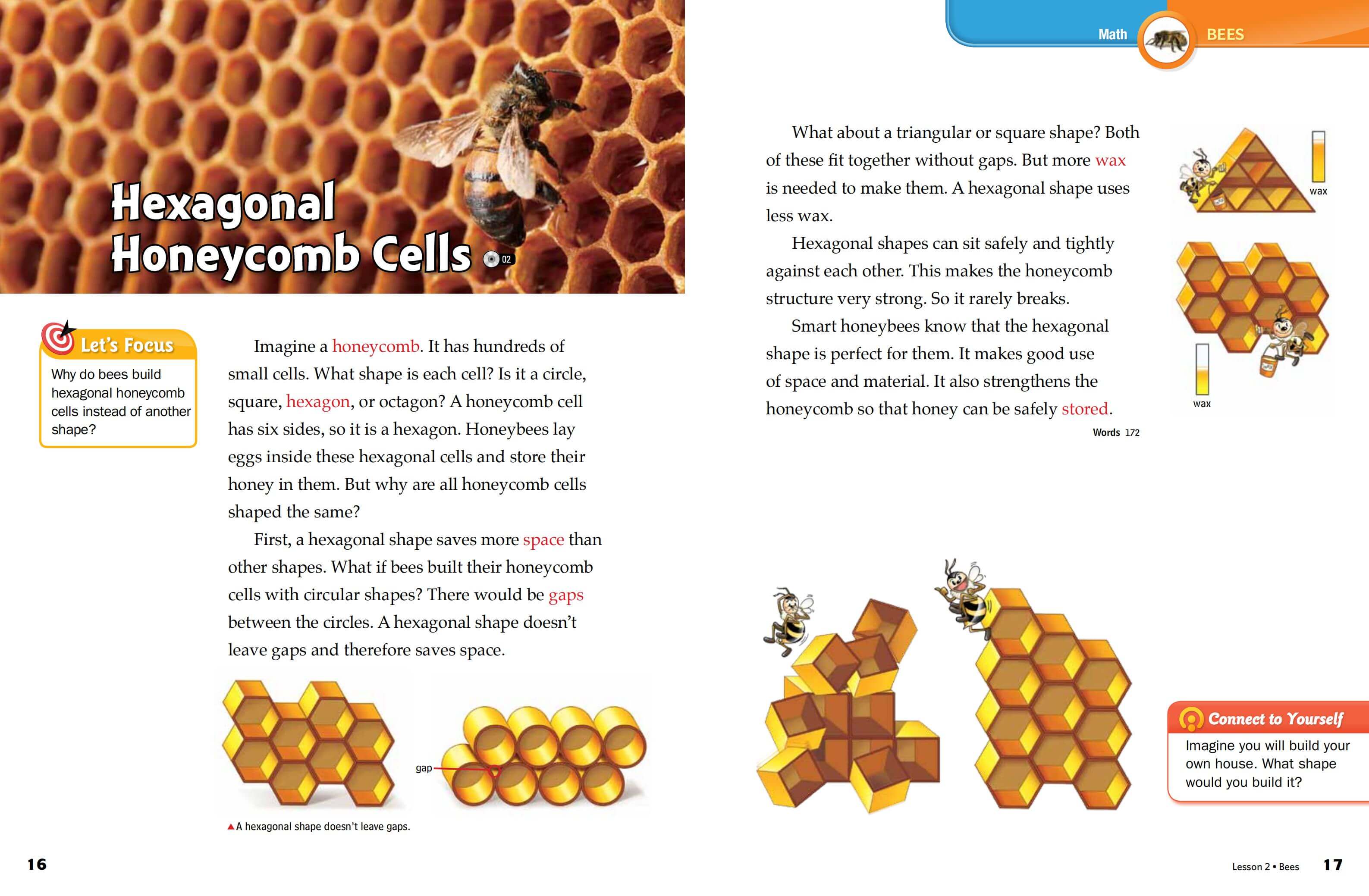 《Subject Link Level 2》NE Build & Grow Subject Link 第2级别插图6 《Subject Link Level 2》NE Build & Grow Subject Link 第2级别 - Bukids