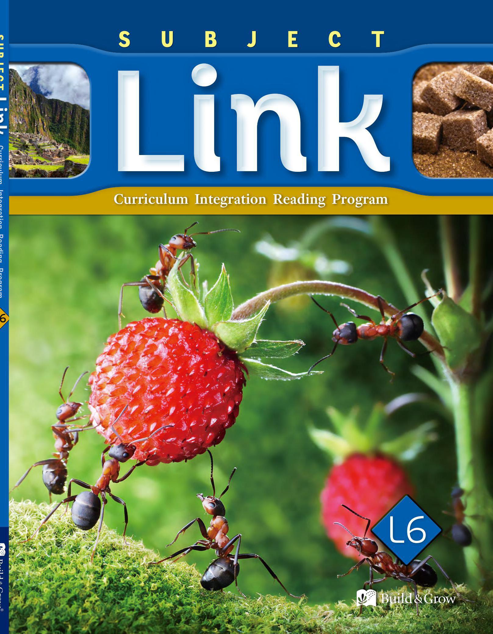 《Subject Link Level 6》NE Build & Grow Subject Link 第6级别插图 《Subject Link Level 6》NE Build & Grow Subject Link 第6级别 - Bukids