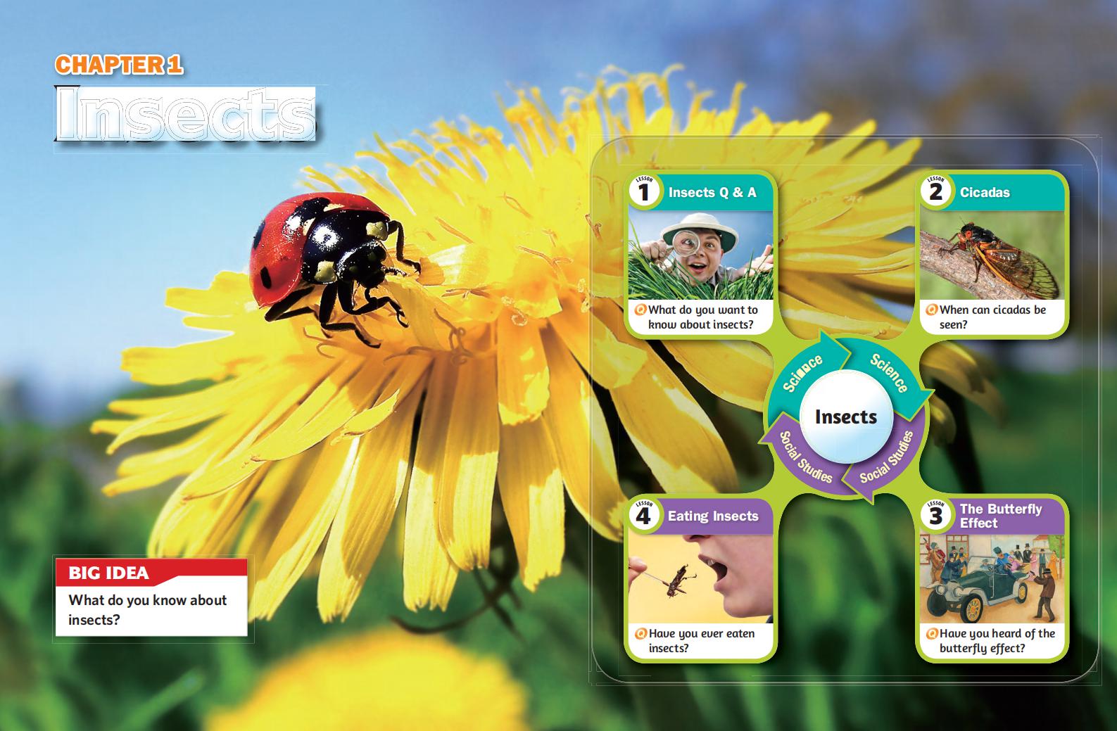 《Subject Link Level 6》NE Build & Grow Subject Link 第6级别插图1 《Subject Link Level 6》NE Build & Grow Subject Link 第6级别 - Bukids