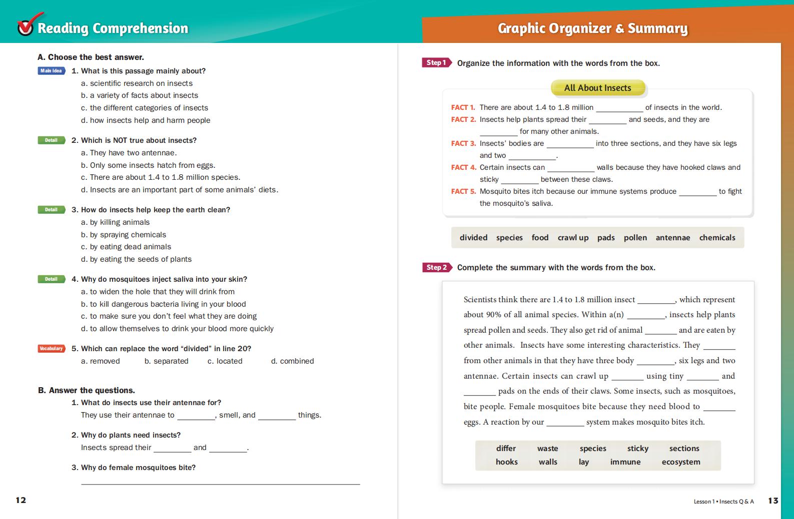 《Subject Link Level 6》NE Build & Grow Subject Link 第6级别插图4 《Subject Link Level 6》NE Build & Grow Subject Link 第6级别 - Bukids