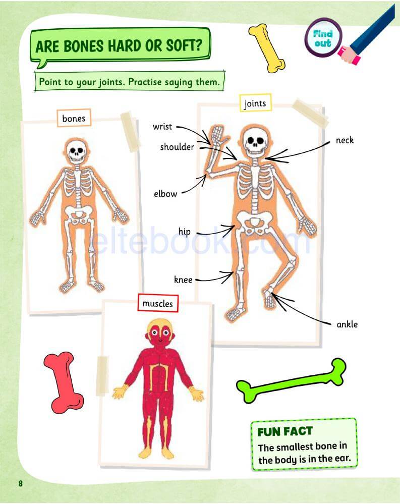 《Science Skills Level 1》剑桥Science Skills 第1级别插图5 《Science Skills Level 1》剑桥Science Skills 第1级别 - Bukids