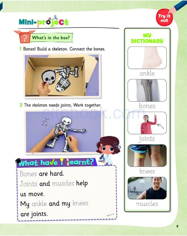 《Science Skills Level 1》剑桥Science Skills 第1级别插图6 《Science Skills Level 1》剑桥Science Skills 第1级别 - Bukids