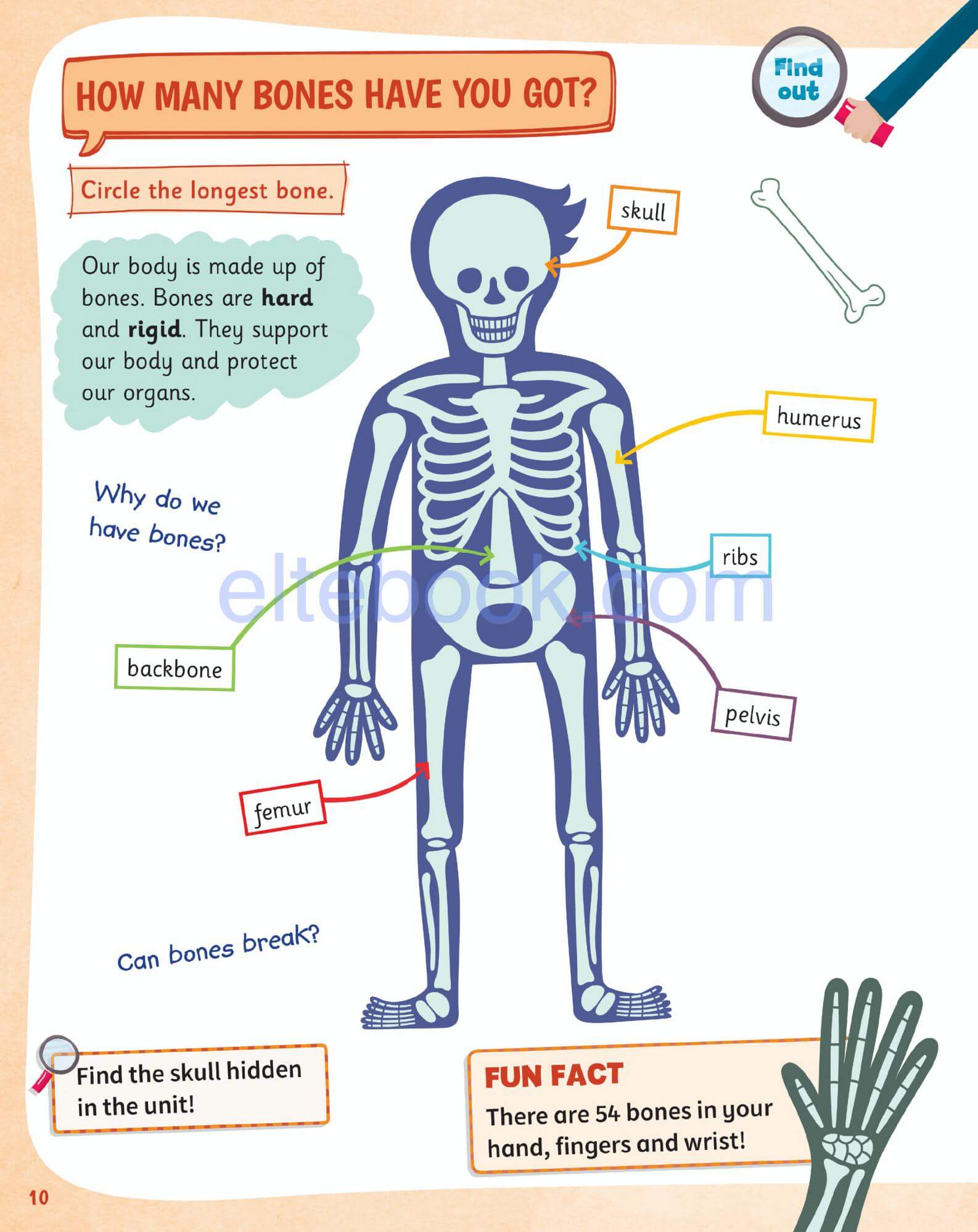 《Science Skills Level 2》剑桥Science Skills 第2级别插图5 《Science Skills Level 2》剑桥Science Skills 第2级别 - Bukids