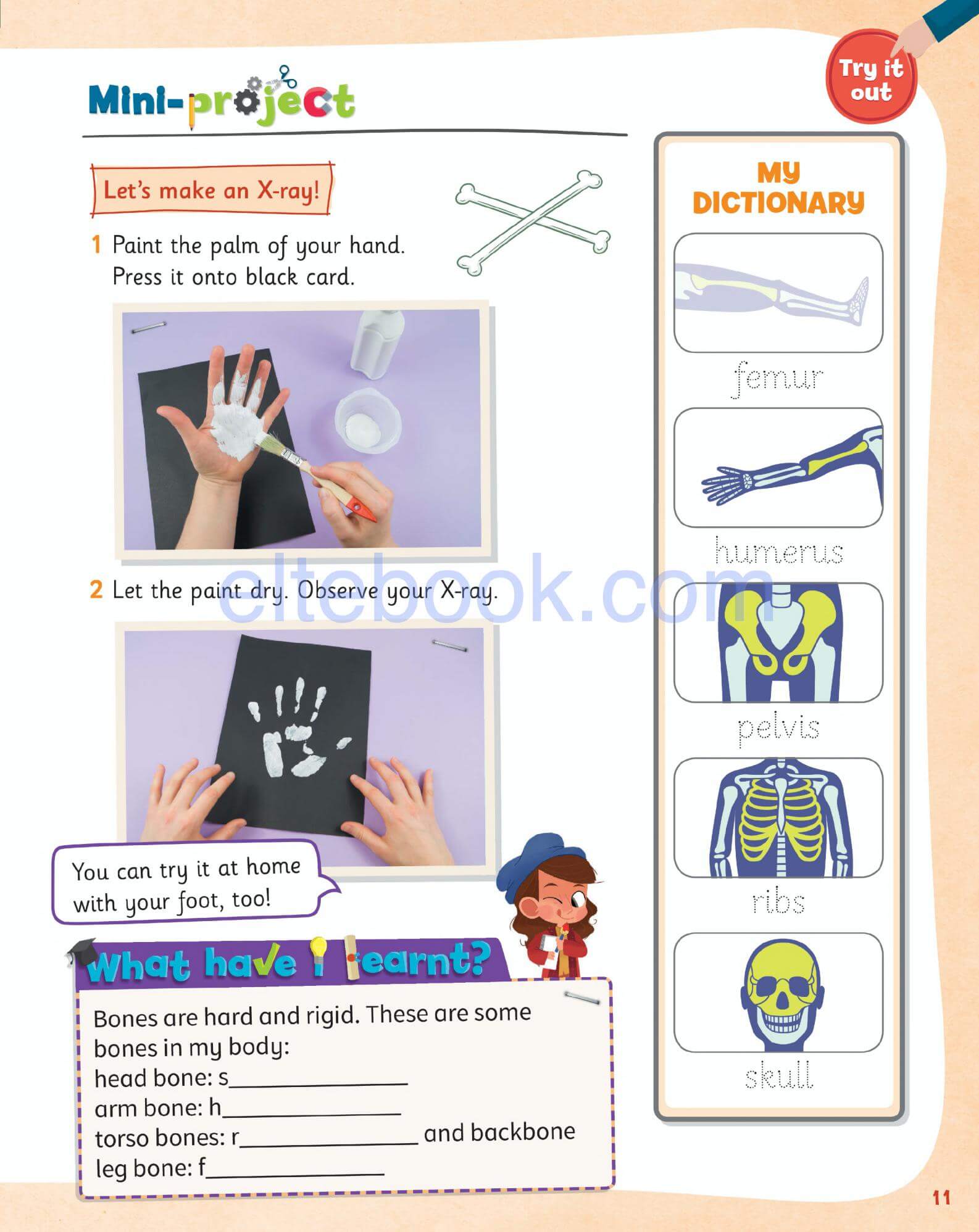 《Science Skills Level 2》剑桥Science Skills 第2级别插图6 《Science Skills Level 2》剑桥Science Skills 第2级别 - Bukids