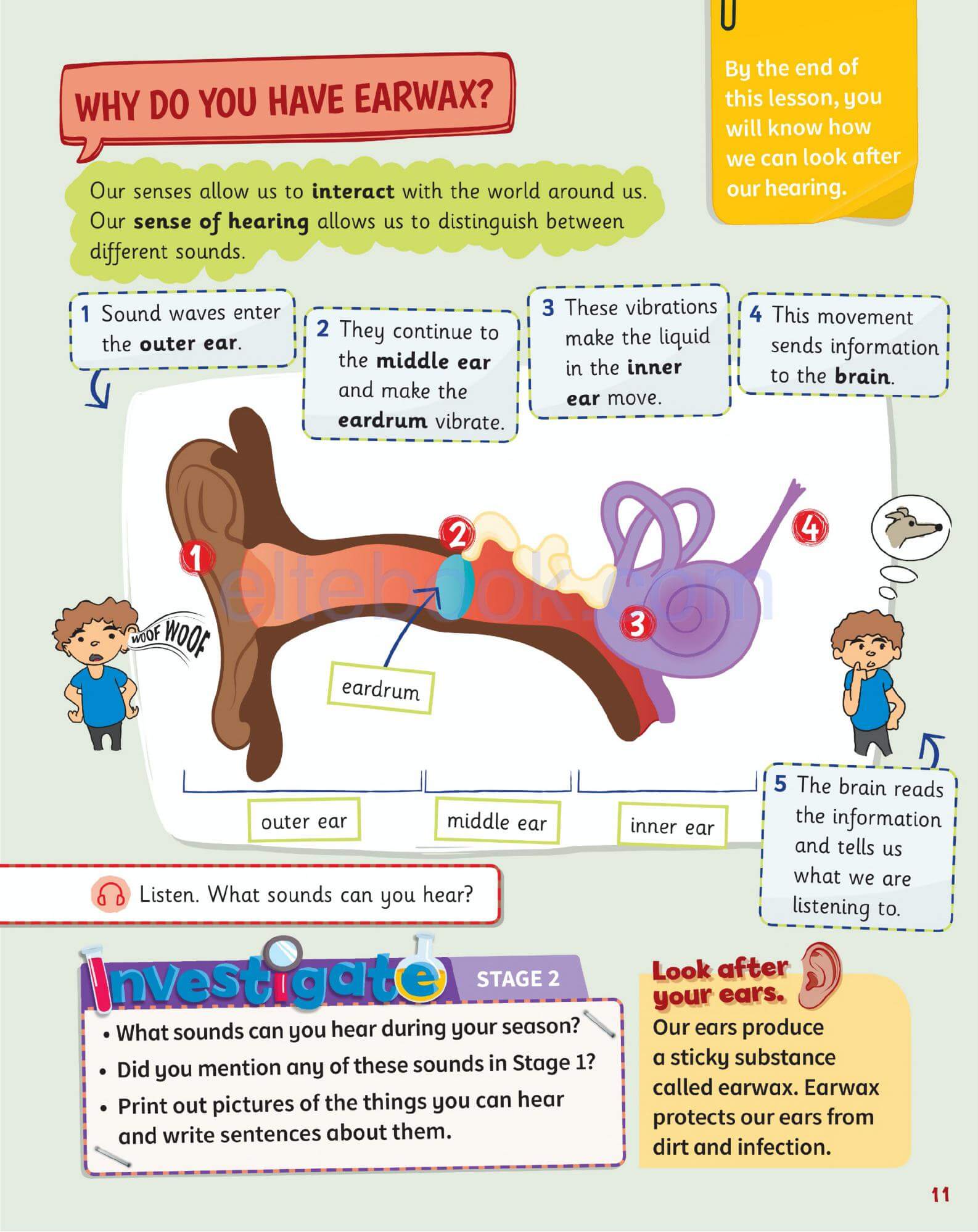 《Science Skills Level 3》剑桥Science Skills 第3级别插图6 《Science Skills Level 3》剑桥Science Skills 第3级别 - Bukids