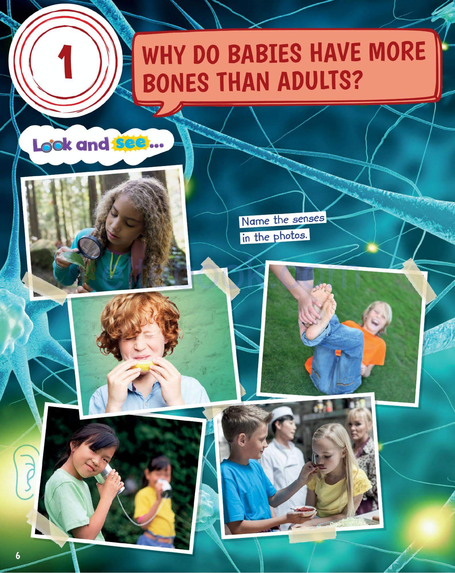 《Science Skills Level 3》剑桥Science Skills 第3级别插图1 《Science Skills Level 3》剑桥Science Skills 第3级别 - Bukids