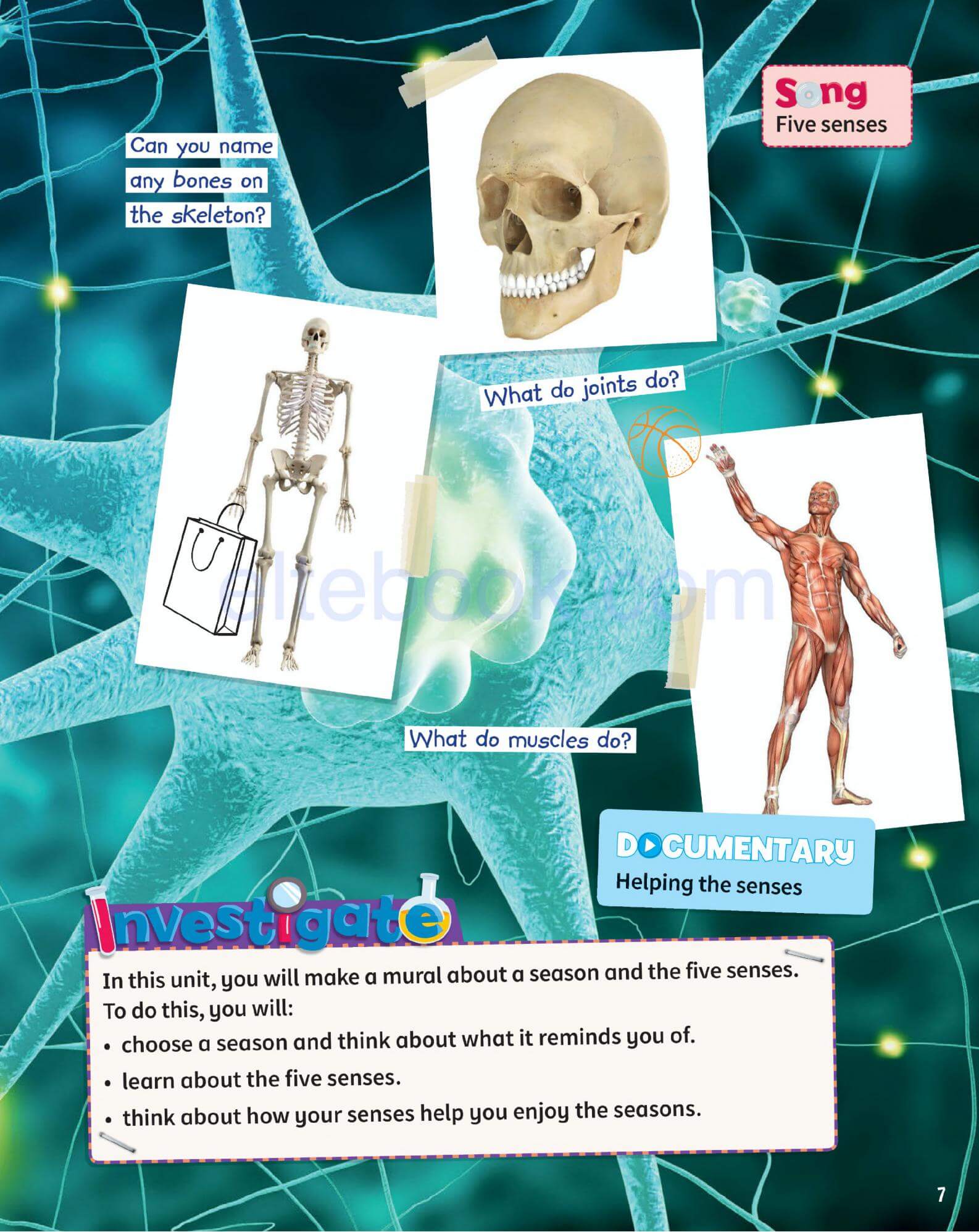 《Science Skills Level 3》剑桥Science Skills 第3级别插图2 《Science Skills Level 3》剑桥Science Skills 第3级别 - Bukids