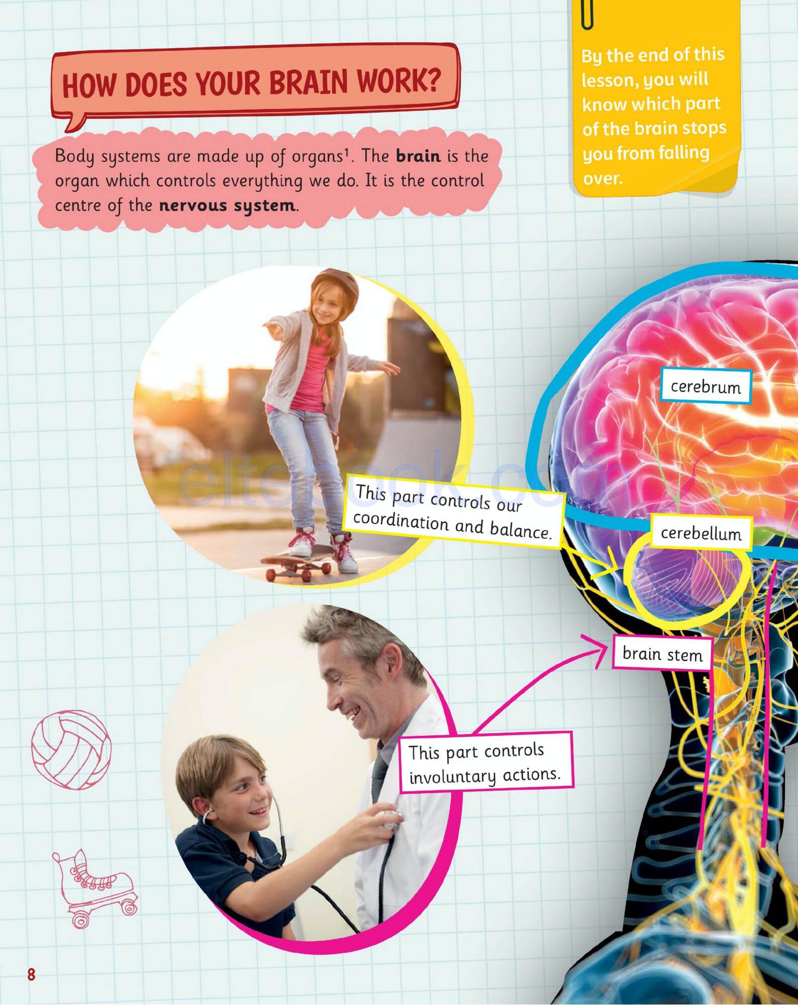 《Science Skills Level 3》剑桥Science Skills 第3级别插图3 《Science Skills Level 3》剑桥Science Skills 第3级别 - Bukids