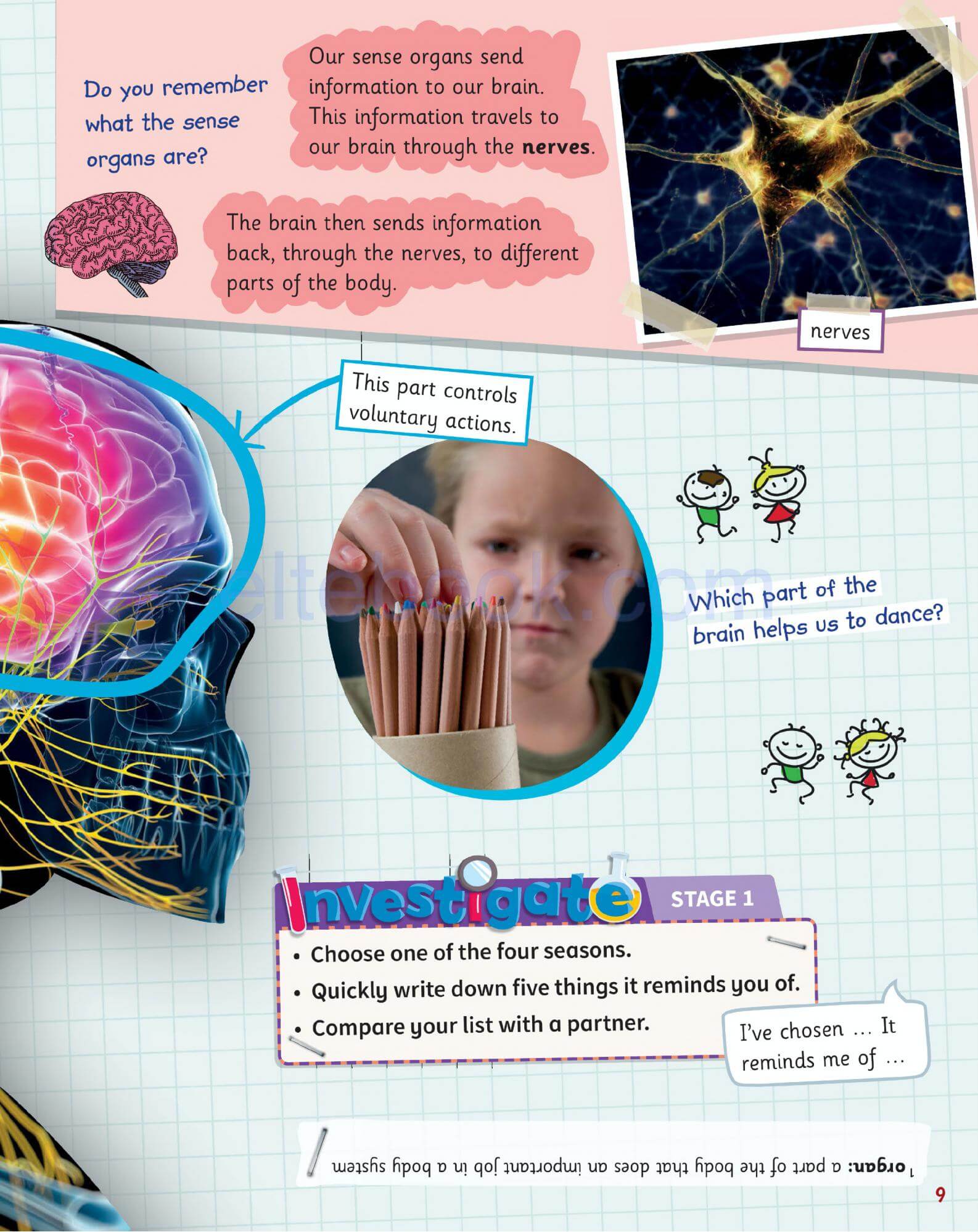 《Science Skills Level 3》剑桥Science Skills 第3级别插图4 《Science Skills Level 3》剑桥Science Skills 第3级别 - Bukids