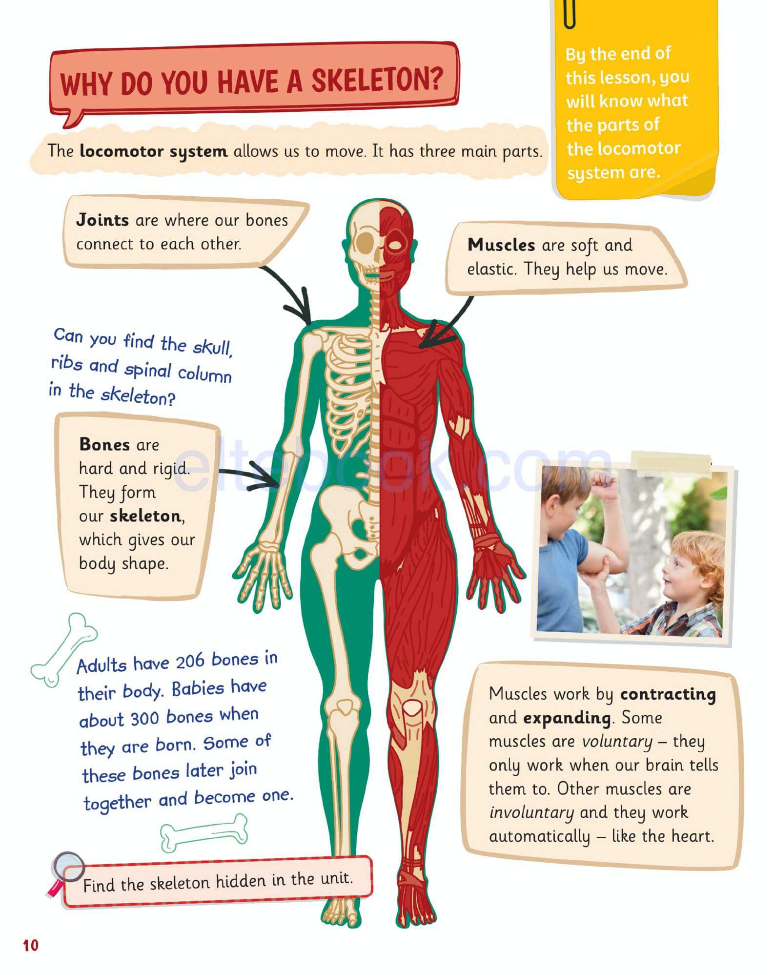 《Science Skills Level 3》剑桥Science Skills 第3级别插图5 《Science Skills Level 3》剑桥Science Skills 第3级别 - Bukids