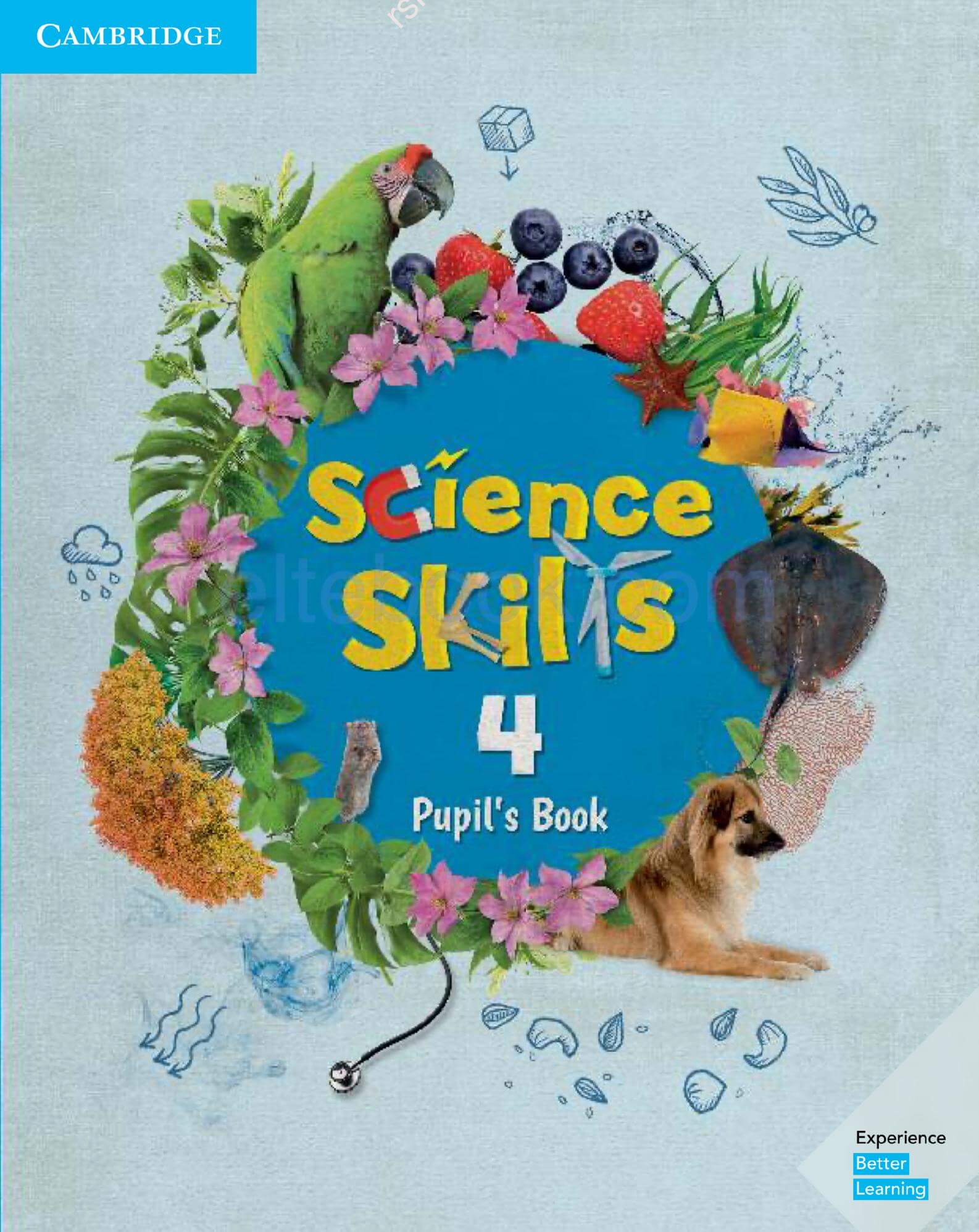 《Science Skills Level 4》剑桥Science Skills 第4级别