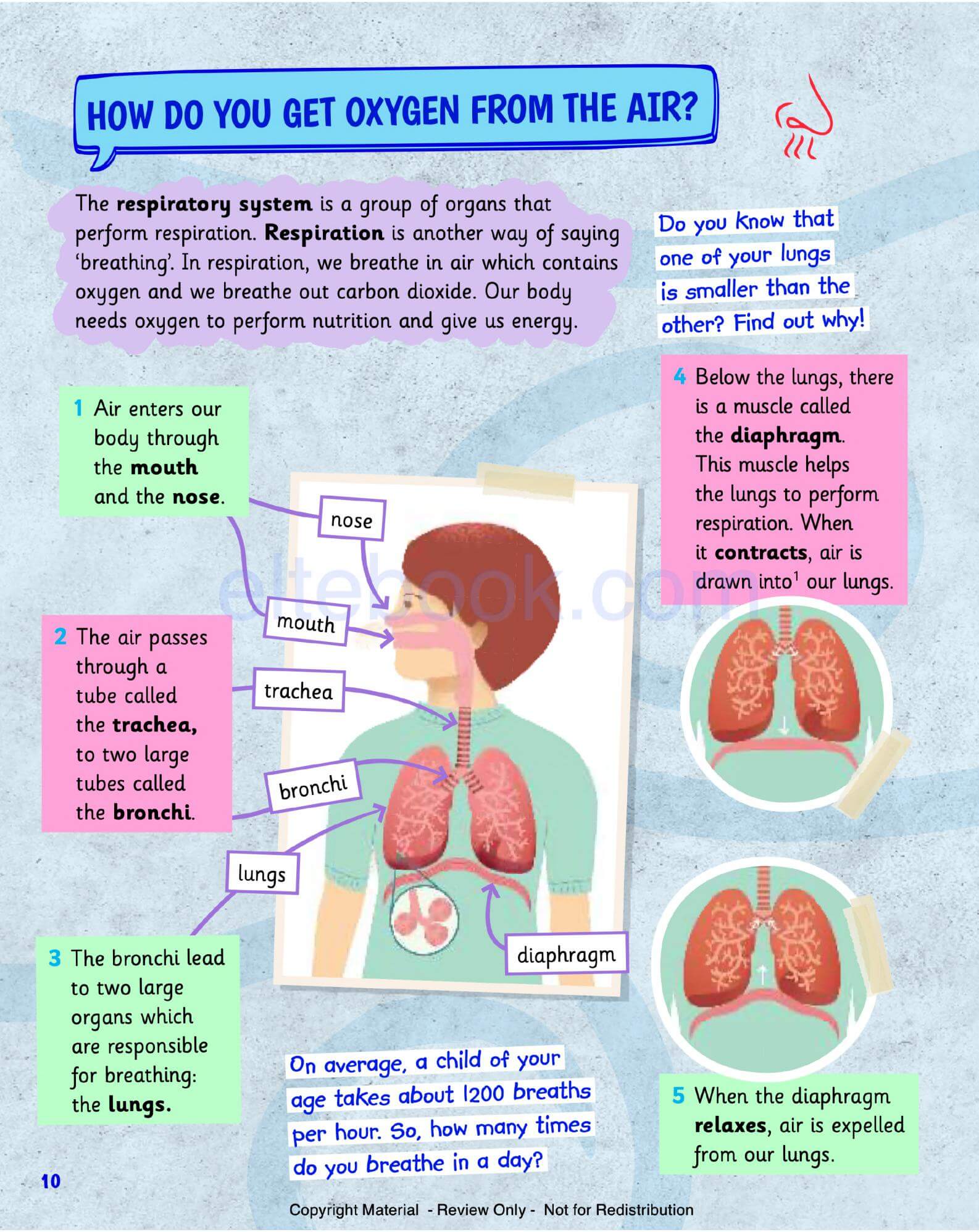 《Science Skills Level 4》剑桥Science Skills 第4级别插图5 《Science Skills Level 4》剑桥Science Skills 第4级别 - Bukids
