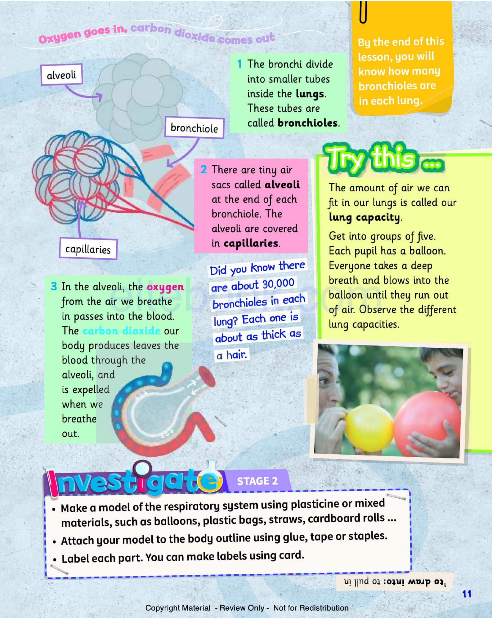 《Science Skills Level 4》剑桥Science Skills 第4级别插图6 《Science Skills Level 4》剑桥Science Skills 第4级别 - Bukids