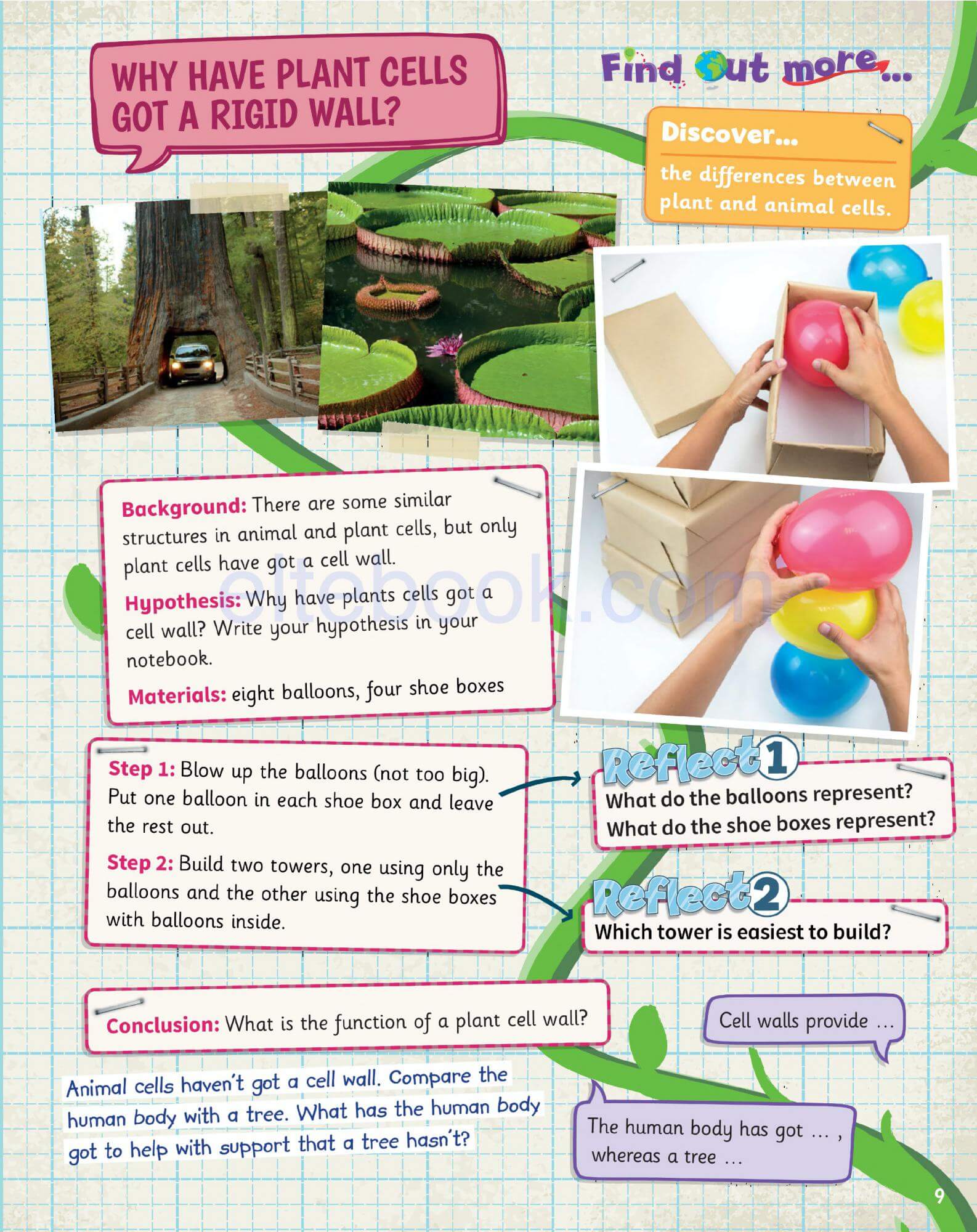 《Science Skills Level 5》剑桥Science Skills 第5级别 - Bukids