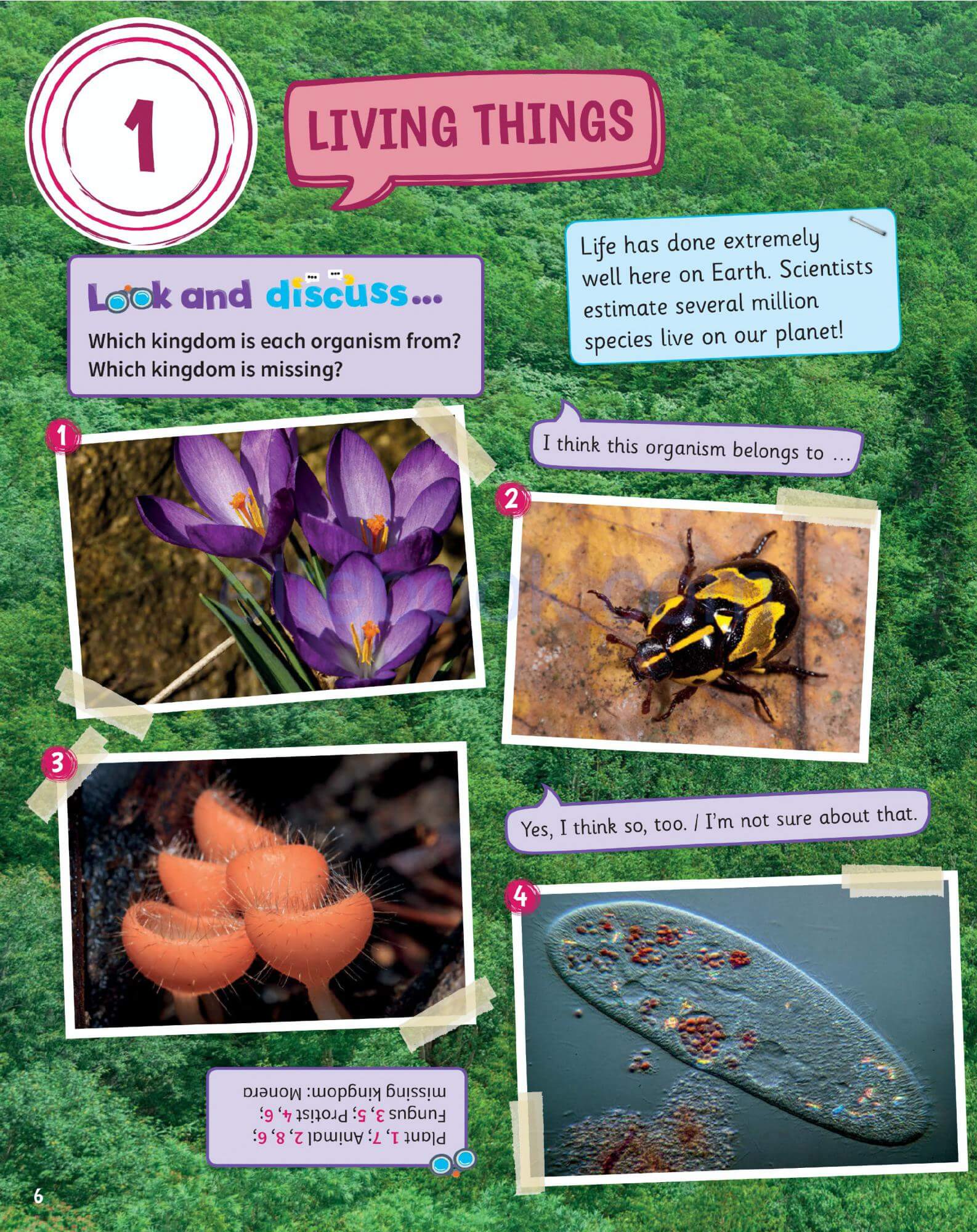 《Science Skills Level 5》剑桥Science Skills 第5级别 - Bukids