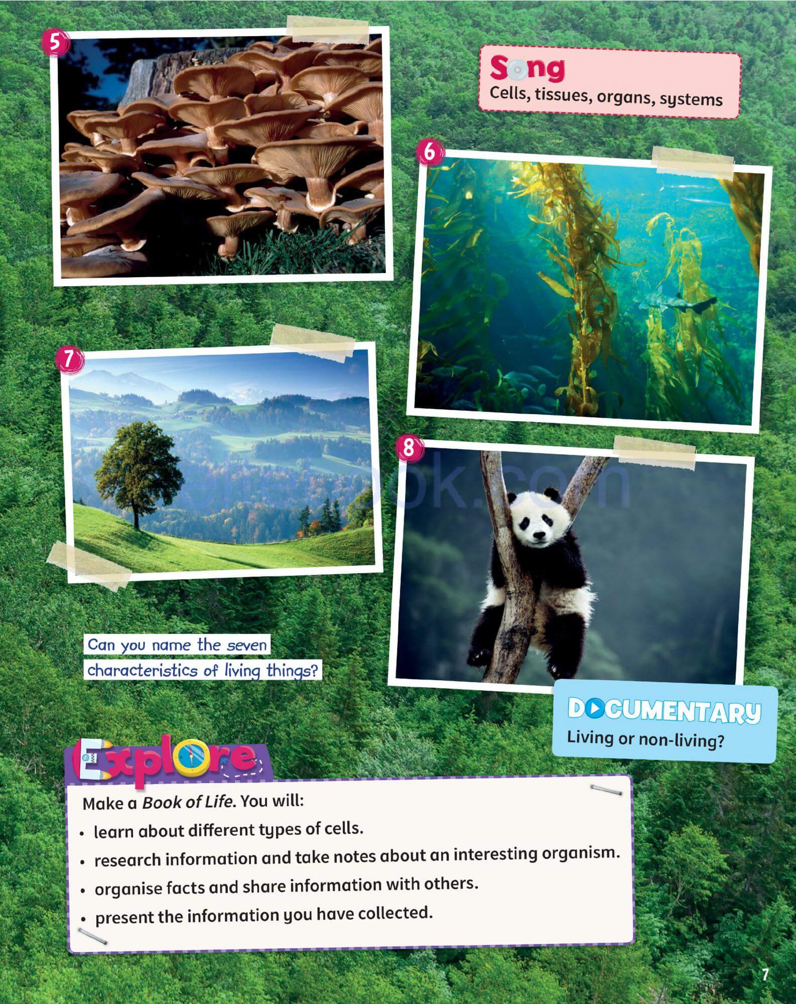 《Science Skills Level 5》剑桥Science Skills 第5级别 - Bukids