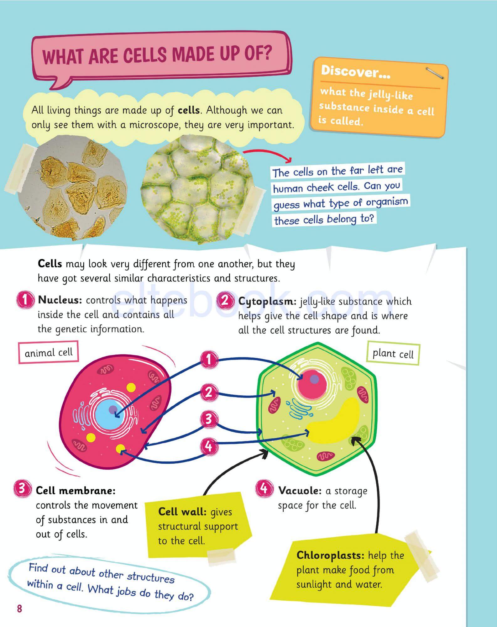 《Science Skills Level 5》剑桥Science Skills 第5级别 - Bukids