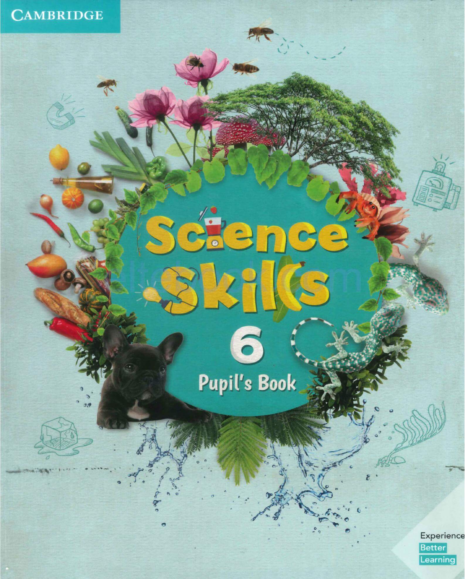 《Science Skills Level 6》剑桥Science Skills 第6级别 《Science Skills Level 3》剑桥Science Skills 第3级别 - Bukids