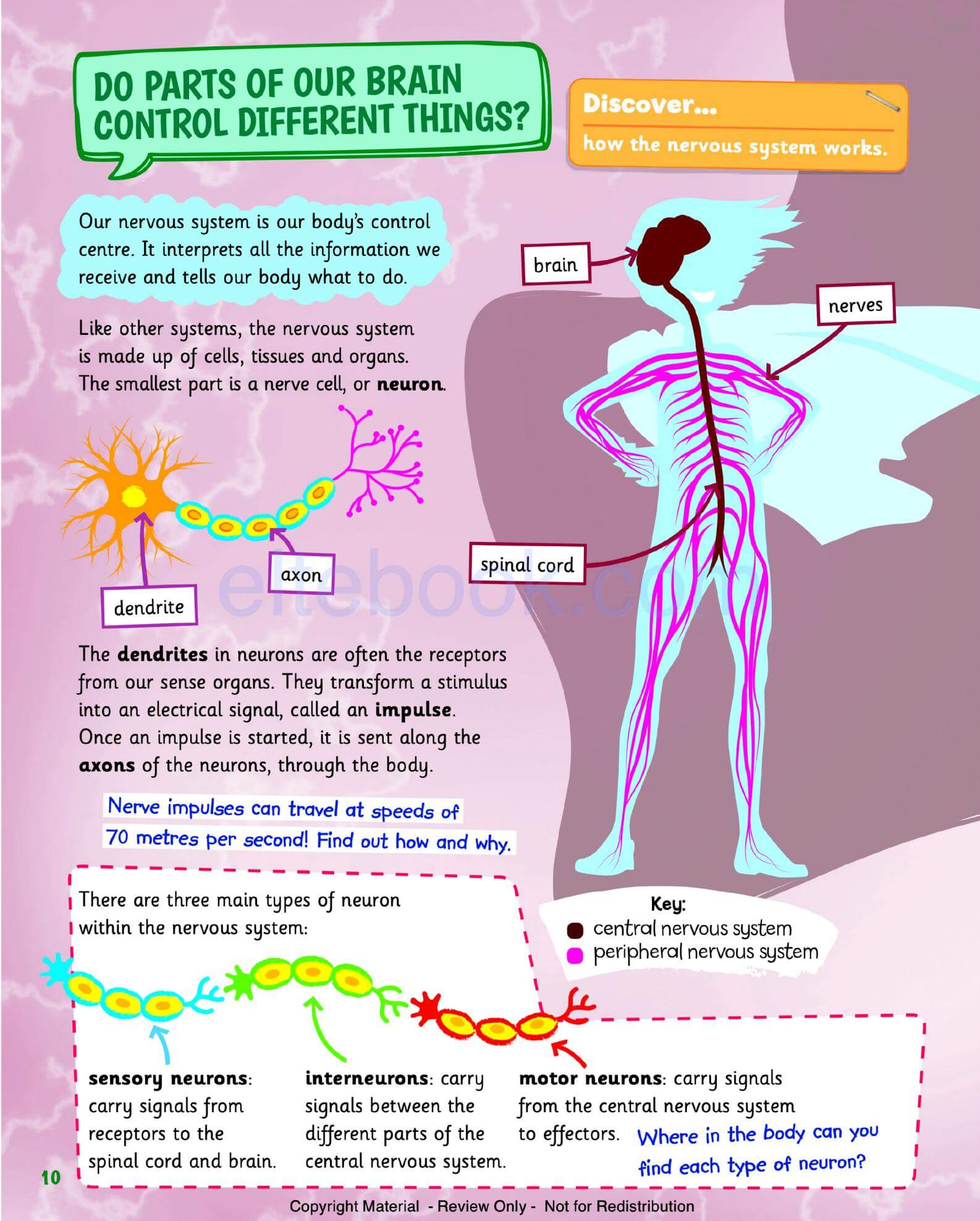 《Science Skills Level 6》剑桥Science Skills 第6级别 - Bukids