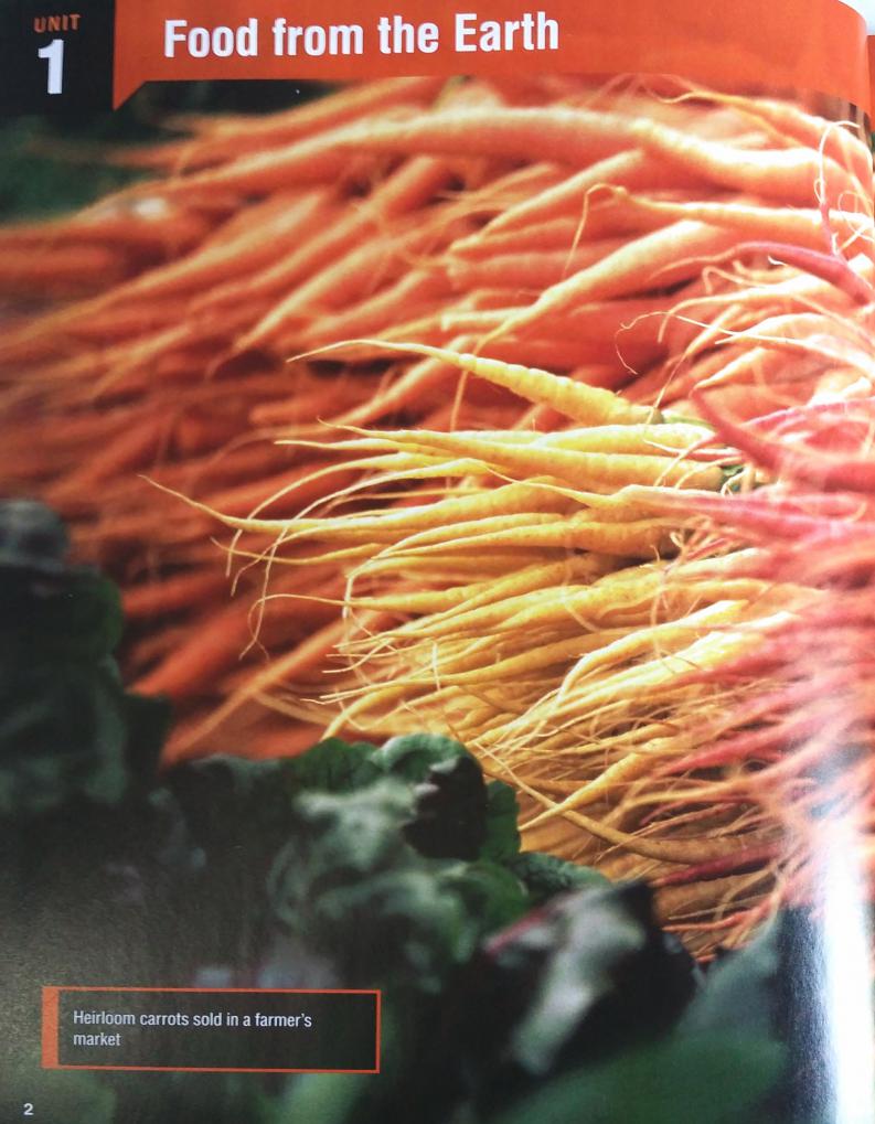 《World English 2nd Edition Level 2 (A2)》国家地理World English第二版 第2级别插图1 《World English 2nd Edition Level 2 (A2)》国家地理World English第二版 第2级别 - Bukids