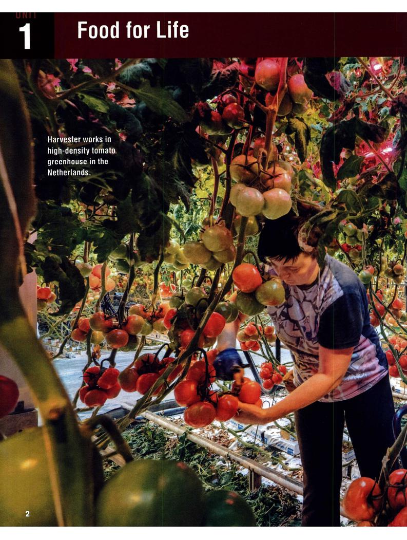 《World English 3rd Edition Level 2 (A2)》国家地理World English第三版 第2级别插图1 《World English 3rd Edition Level 2 (A2)》国家地理World English第三版 第2级别 - Bukids