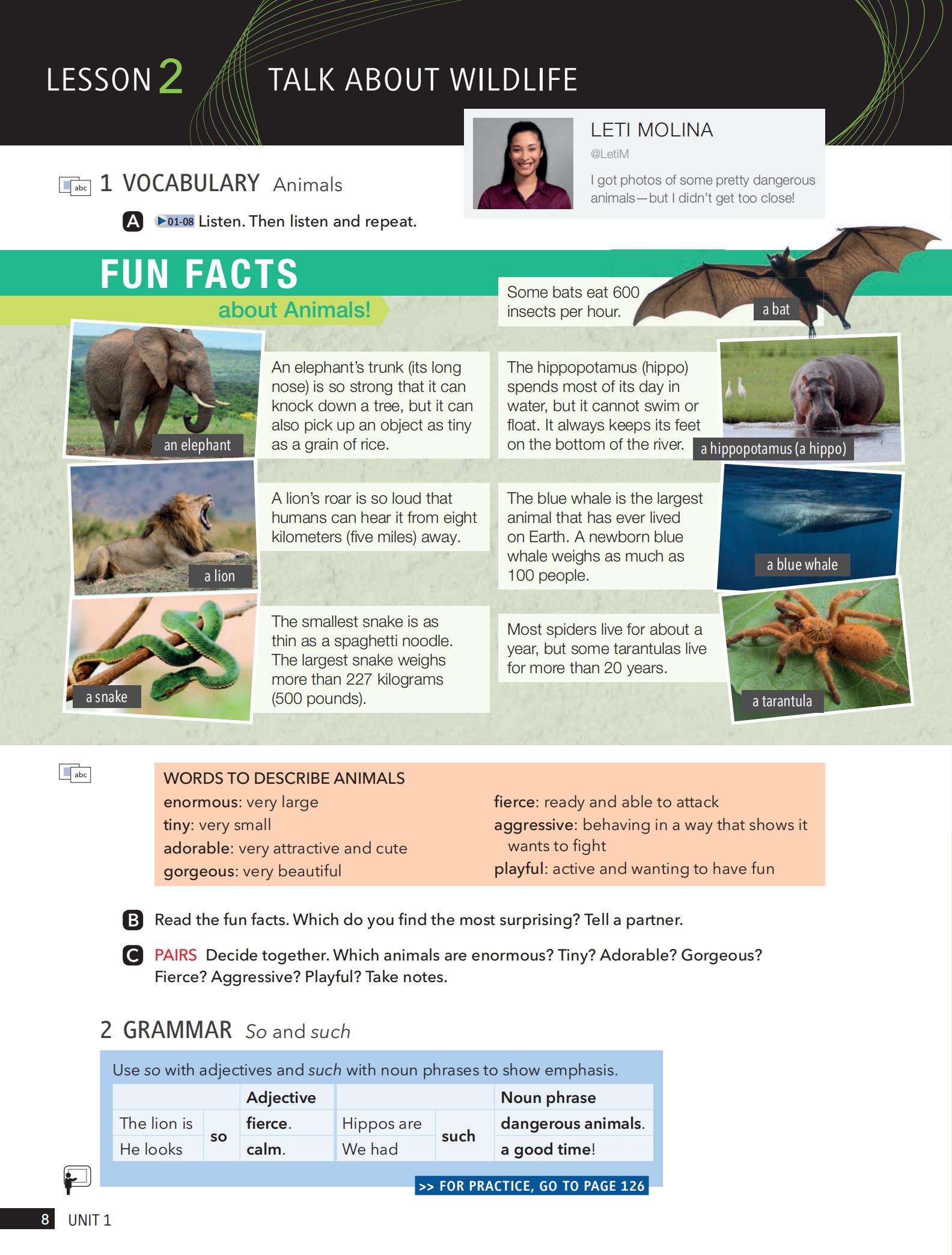 《StartUp Level 5 (B1+)》培生StartUp 第5级别插图4 《StartUp Level 5 (B1+)》培生StartUp 第5级别 - Bukids