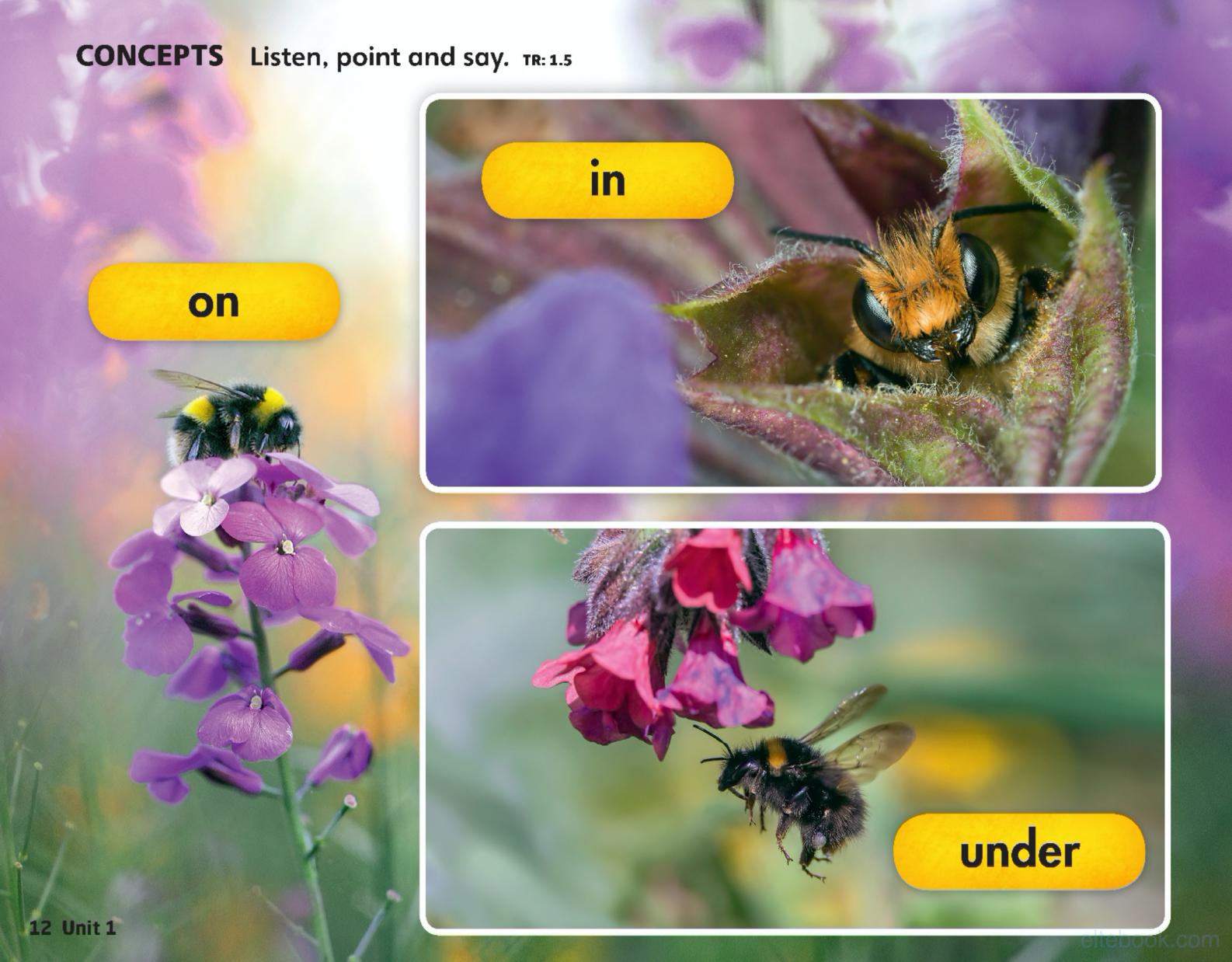 《Welcome to Our World 2nd Edition Level 2》国家地理Welcome to Our World第二版 第2级别插图5 《Welcome to Our World 2nd Edition Level 2》国家地理Welcome to Our World第二版 第2级别 - Bukids