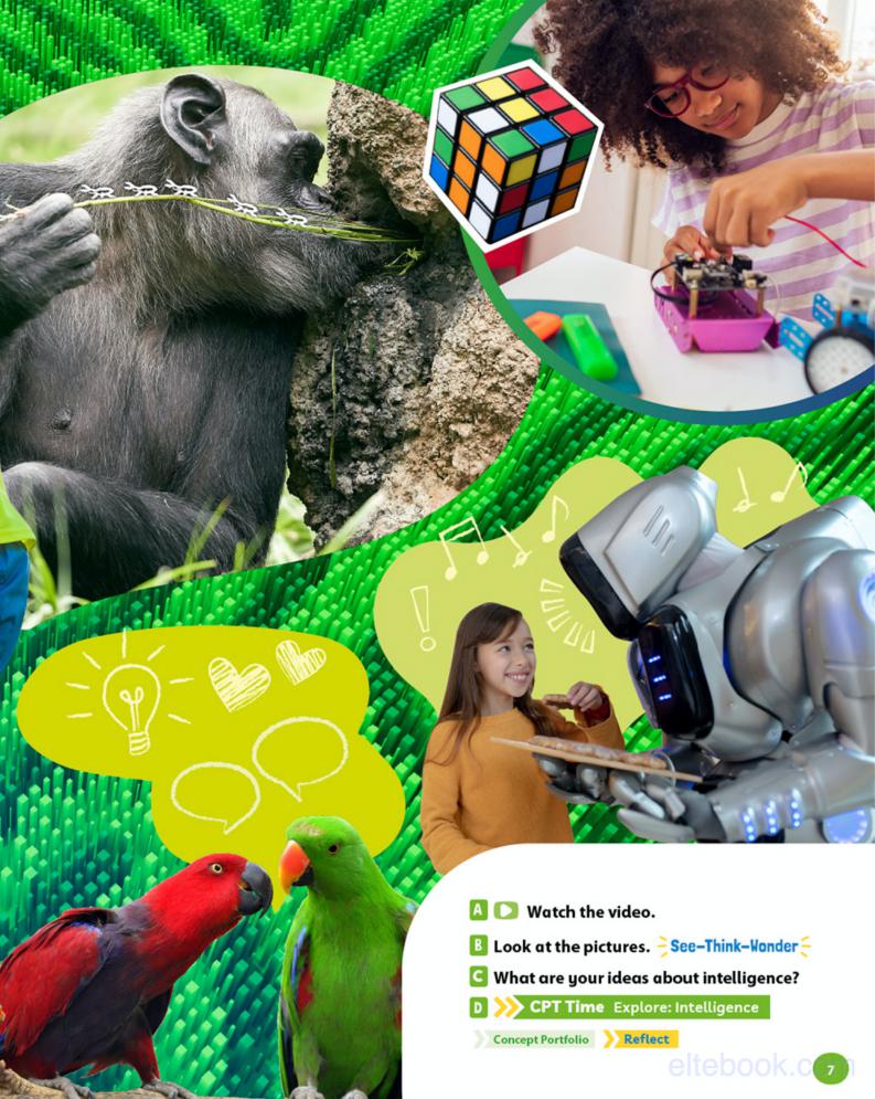 《Blue Dot Level 5》牛津Blue Dot 第5级别插图2 《Blue Dot Level 5》牛津Blue Dot 第5级别 - Bukids