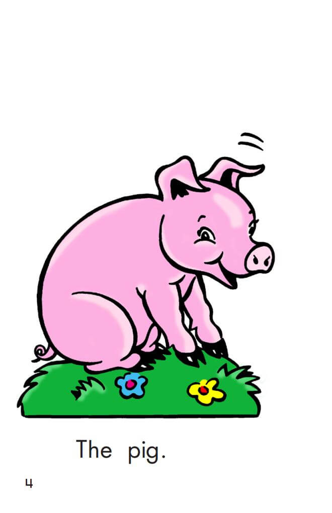 《Reading A-Z》美国经典RAZ全套分级阅读绘本 PDF+视频+音频MP3+练习册+高频单词 - Bukids