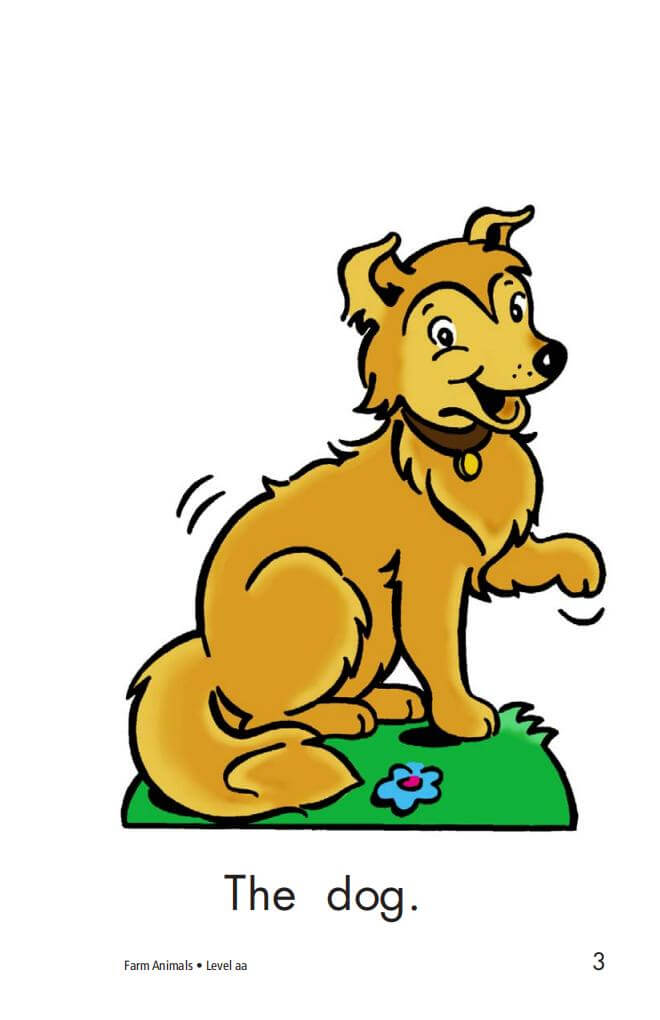 《Reading A-Z》美国经典RAZ全套分级阅读绘本 PDF+视频+音频MP3+练习册+高频单词 - Bukids