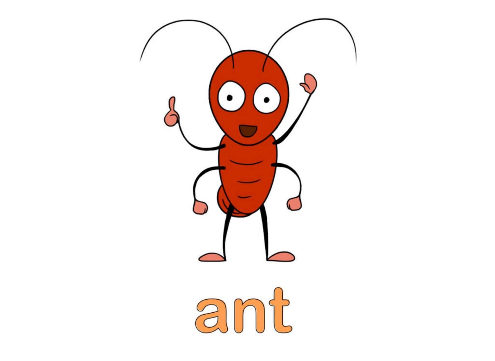 《Kids vs Phonics》趣味学习自然拼读动画视频+51本PDF书籍+67本练习册 [全60集] - Bukids