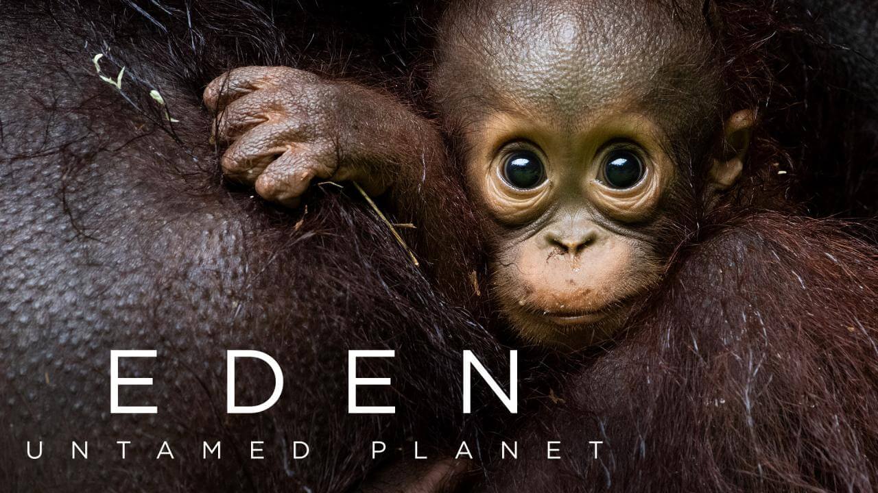 《从太空看地球》Earth From Space英文版 [全4集] - Bukids