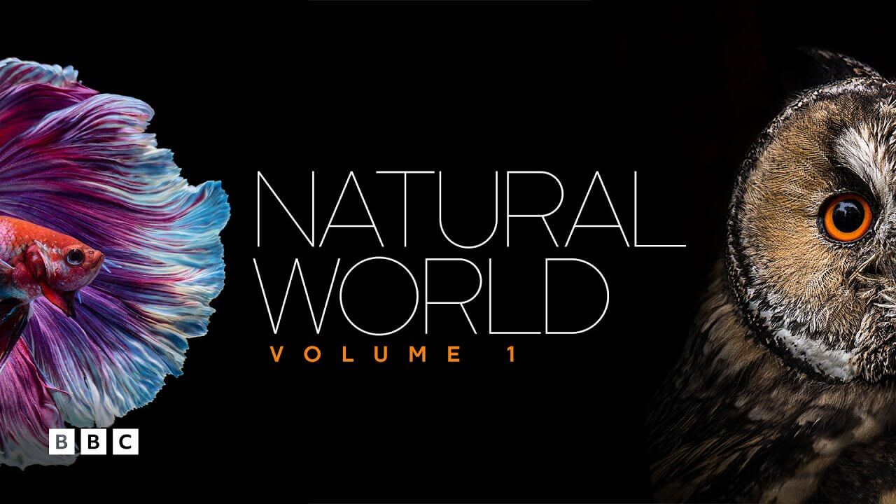 《自然世界》Natural World英文版 [全5集]