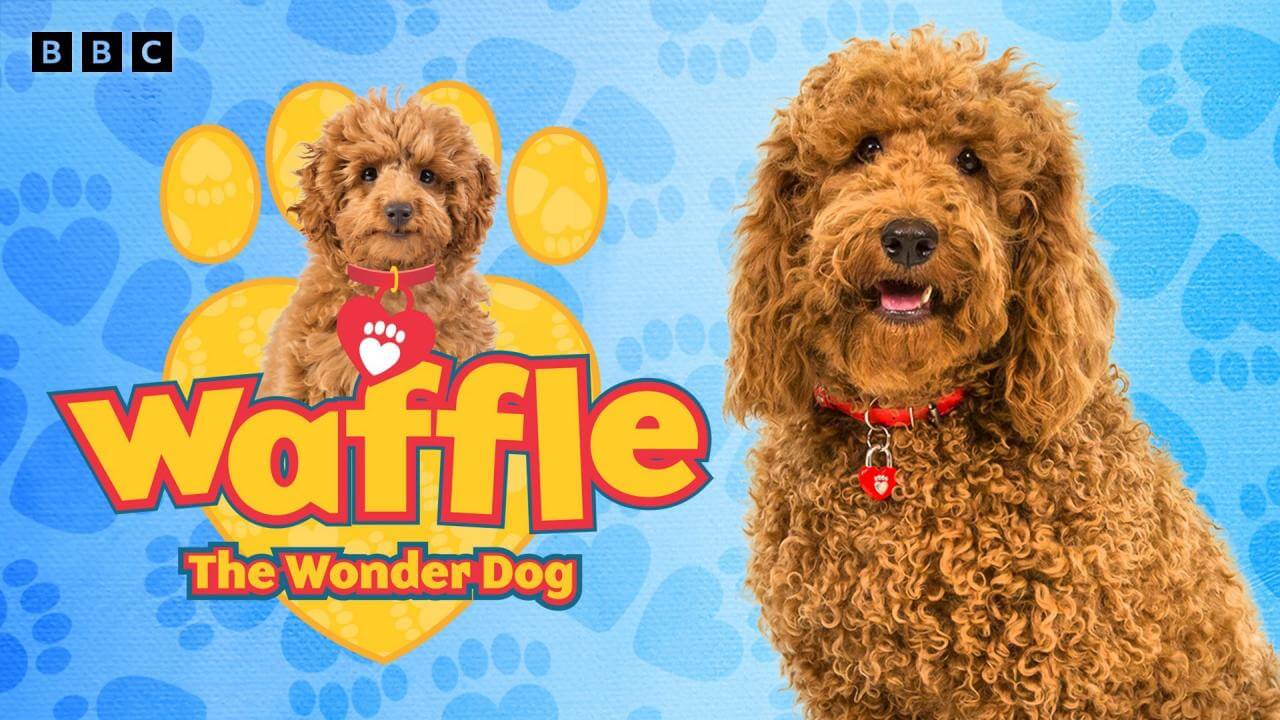 《神奇狗狗华夫饼》Waffle the Wonder Dog英文版 第四季 [全14集] - Bukids