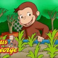 《好奇猴乔治》英文版全15季观看指南：Curious George剧情、角色与英语启蒙推荐 - Bukids陪伴计划