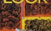 《Look Level 5 (American)》国家地理Look美版 第5级别