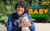 《安迪的动物宝宝》Andy’s Baby Animals英文版 [全20集]