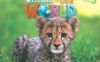 《Welcome to Our World Level 3》国家地理Welcome to Our World幼儿教材第一版 第3级别