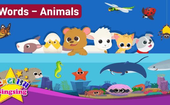 《Kids vocabulary》English Singsing系列儿童词汇主题 [全88集]