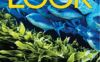 《Look Level 3 (American)》国家地理Look美版 第3级别