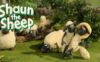 《小羊肖恩》Shaun the Sheep英文版 第五季 [全20集]