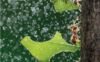 《Explore Our World 2Ed Level 1》国家地理Explore Our World第二版 第1级别