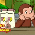 《好奇猴乔治》英文版全15季观看指南：Curious George剧情、角色与英语启蒙推荐 - Bukids陪伴计划
