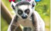 《Explore Our World 1st Level 2》国家地理Explore Our World第一版 第2级别