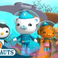 《海底小纵队》英文版全5季观看指南：Octonauts角色、海洋科普 - Bukids陪伴计划