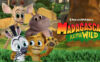 《马达加斯加：小小狂野》Madagascar: A Little Wild英文版 第二季 [全6集]